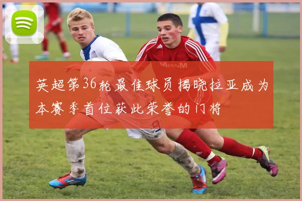 英超第36轮最佳球员揭晓拉亚成为本赛季首位获此荣誉的门将